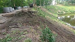 Eine gerodete Fläche in den Wallanlagen.