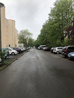 Blick auf eine schmale Straße, gesäumt von Bäumen und parkenden Autos auf beiden Seiten. Der Himmel ist bewölkt.