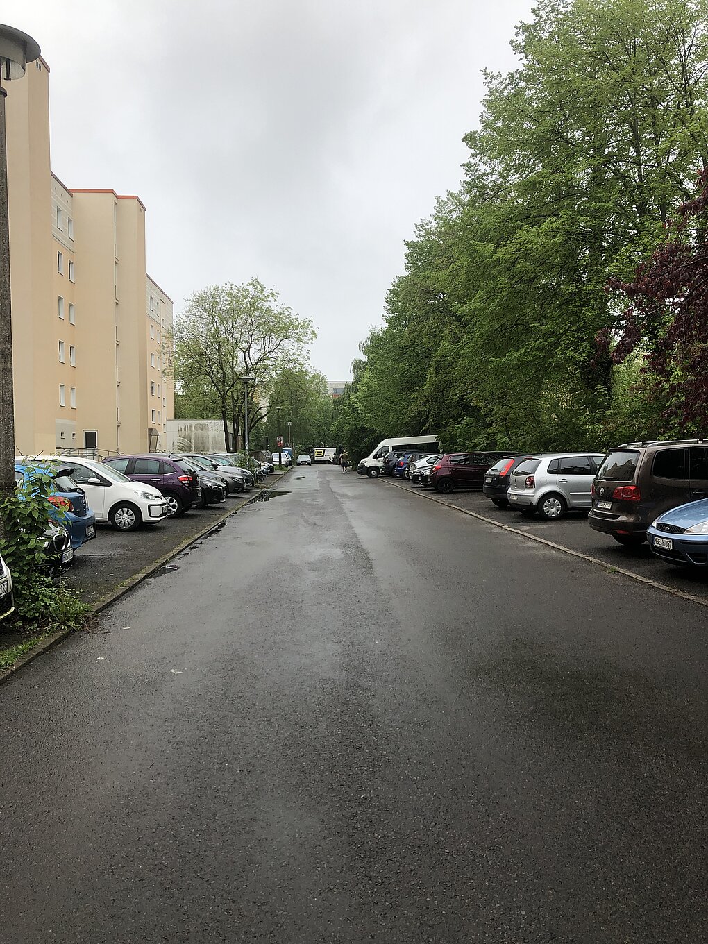 Blick auf eine schmale Straße, gesäumt von Bäumen und parkenden Autos auf beiden Seiten. Der Himmel ist bewölkt.