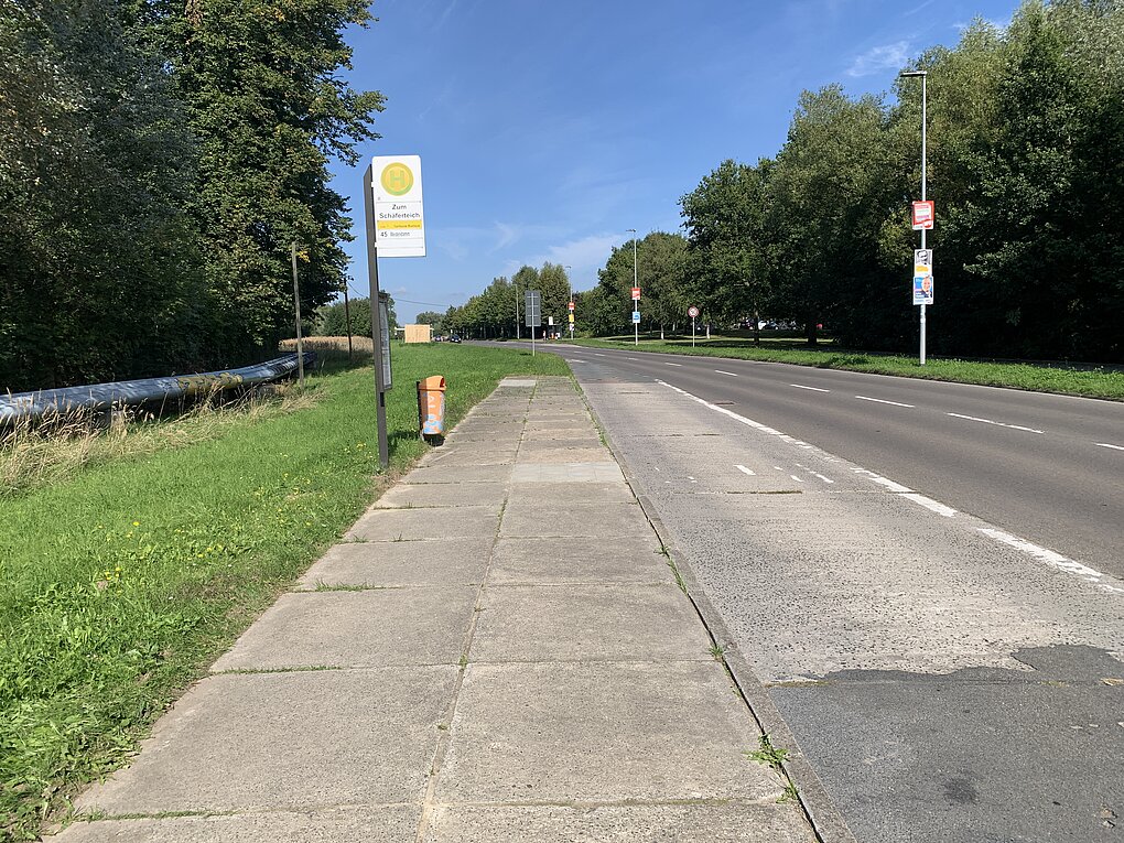 Bushaltestelle mit Weg neben einer Straße mit Bäumen.