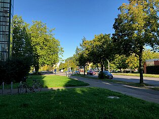 Blick auf Grünflächen mit blauem Himmel.