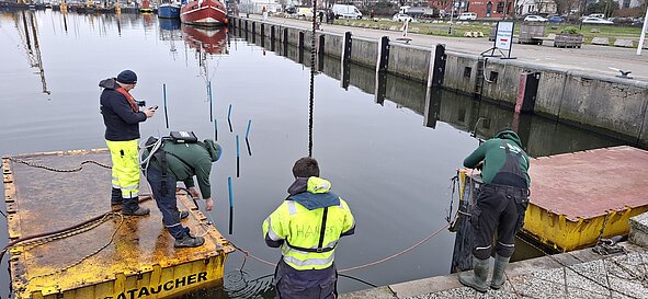 Vier Personen in Arbeitskleidung führen Messungen an einem Hafenbecken durch, zwei stehen auf schwimmenden Plattformen, zwei am Ufer.
