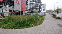 Blick auf ein Gebäude mit Gerüst.