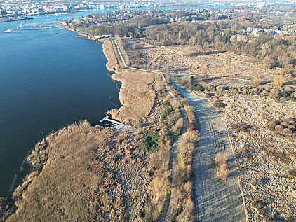 Luftaufnahme vom Ufer der Unterwarnow mit Steg, Schilf und einem Weg, der durch eine offene Landschaft mit Bäumen führt