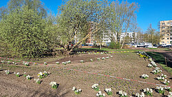 Freifläche mit mehreren kleinen weißen Blumenbeeten und Bäumen im Hintergrund in einem städtischen Umfeld