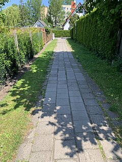 Gepflasterter Gehweg mit Schatten von Bäumen und grünen Hecken auf beiden Seiten.