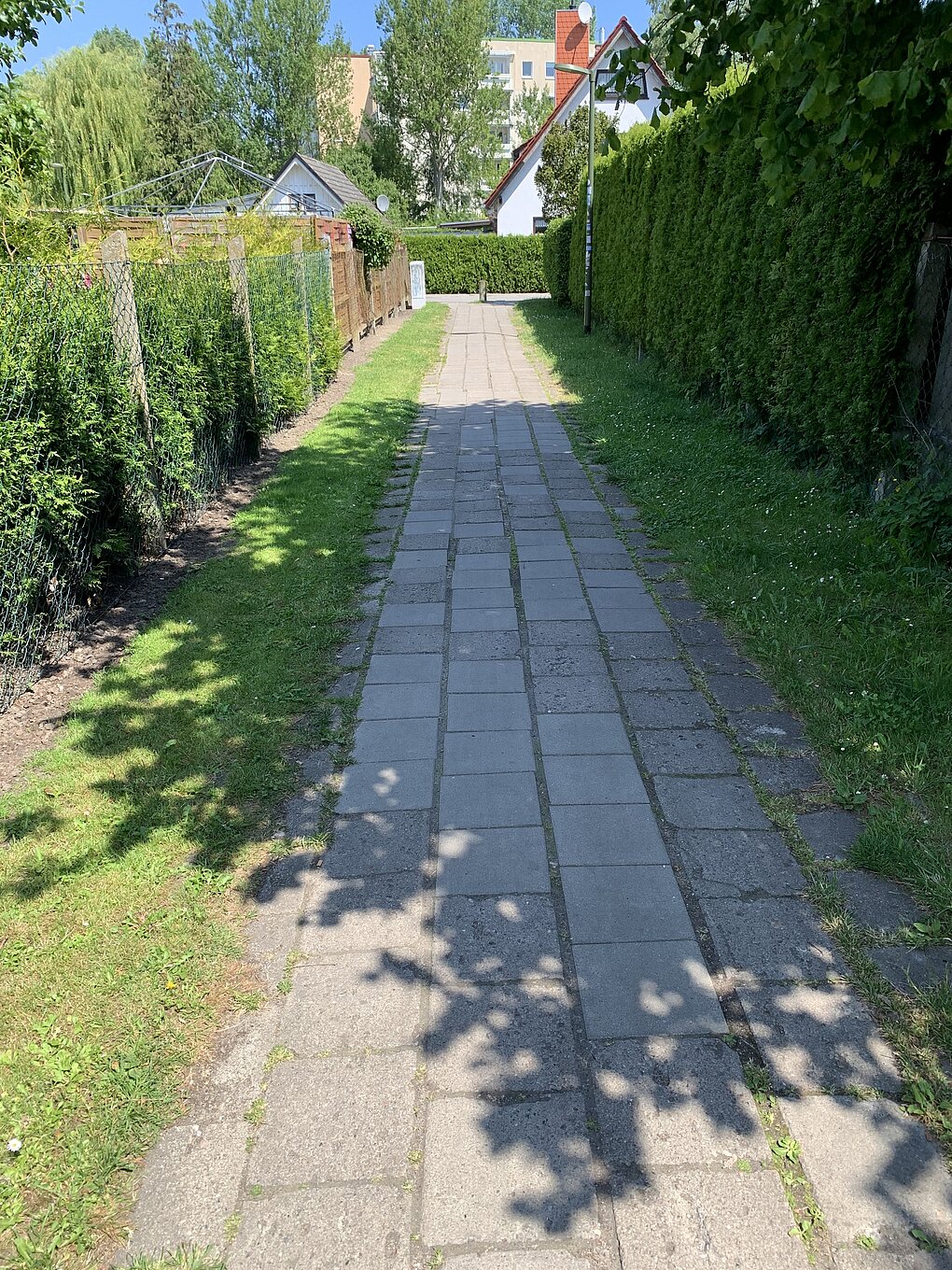 Gepflasterter Gehweg mit Schatten von Bäumen und grünen Hecken auf beiden Seiten.