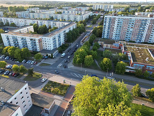 Luftaufnahme von Lichtenhagen mit Blick auf die Güstrower und Parchimer Straße mit mehrstöckigen Plattenbauten, Straßen mit parkenden Autos und vielen Bäumen