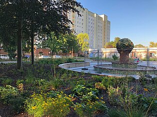Blick auf einen eingezäunten Brunnen umgeben von einer Grünfläche und einem Gebäude im Hintergund.