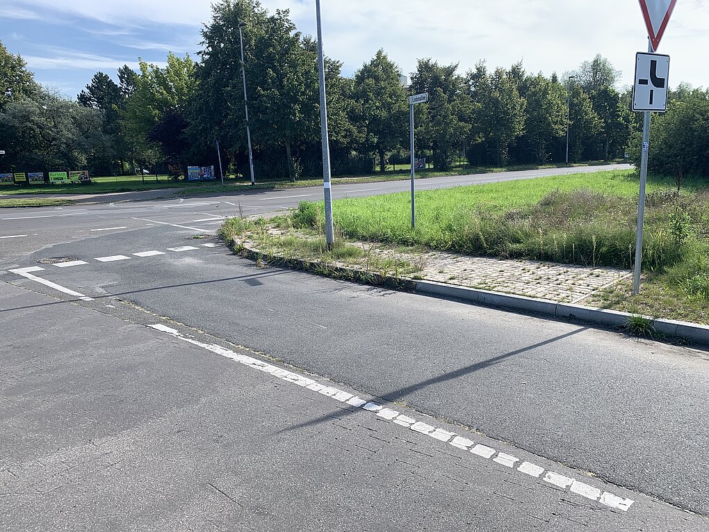 Straße mit weißen Fahrbahnmarkierungen und Bäumen im Hintergrund.