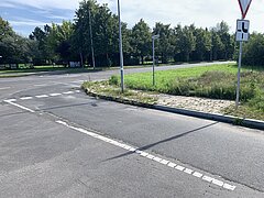 Straße mit weißen Fahrbahnmarkierungen und Bäumen im Hintergrund.
