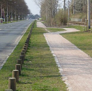 Sandweg entlang eines Grünstreifens.