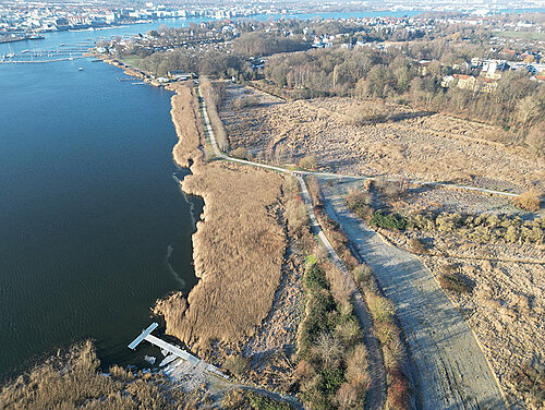 Luftaufnahme vom Ufer der Unterwarnow mit Steg, Schilf und einem Weg, der durch eine offene Landschaft mit Bäumen führt