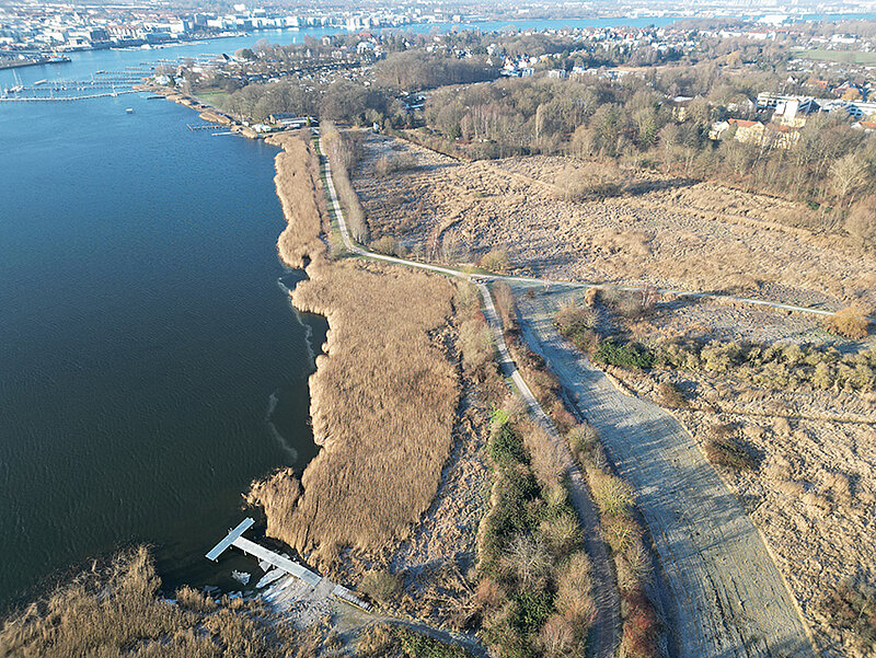 Luftaufnahme vom Ufer der Unterwarnow mit Steg, Schilf und einem Weg, der durch eine offene Landschaft mit Bäumen führt