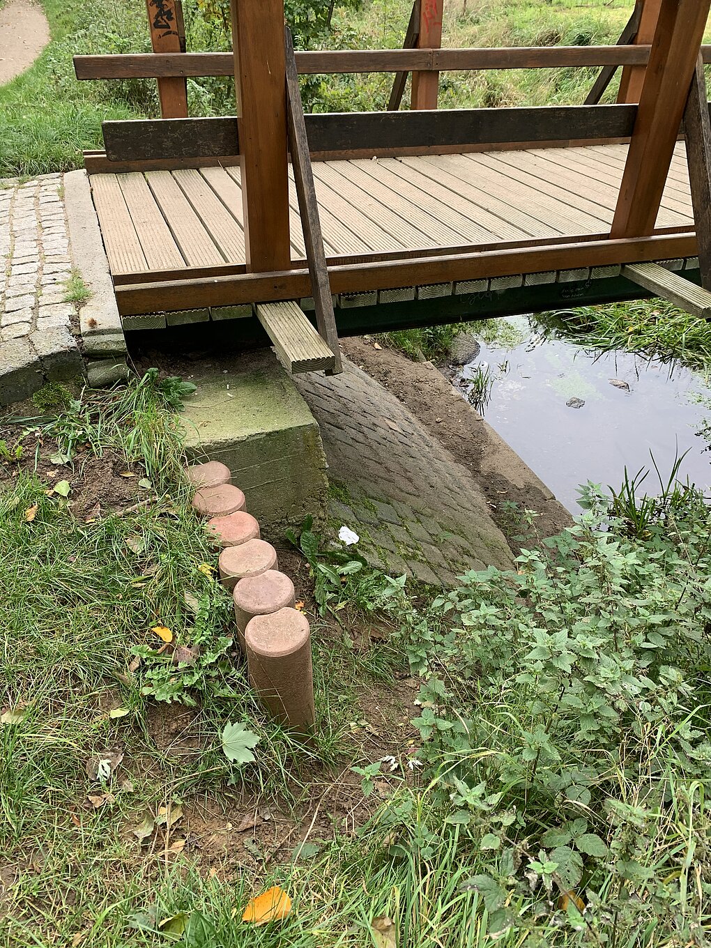 Blick in einen Wassergraben mit viel Grün drumherum.