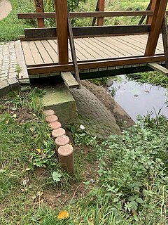 Blick in einen Wassergraben mit viel Grün drumherum.